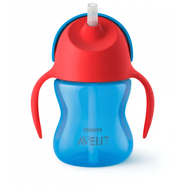 SKIP HOP - GOURDE A PAILLE 390ML SANS BPA 12M+ - RENARD - Bio Pour Bébés