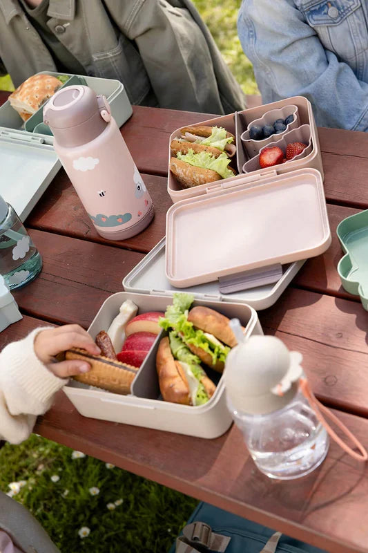 Lunchboxes et gourdes