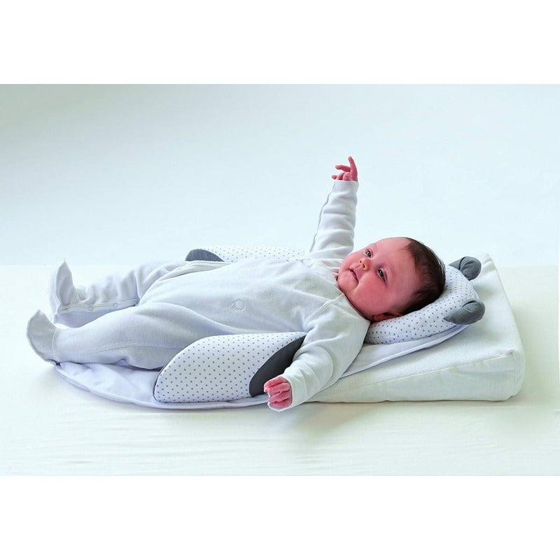Candide – Expert Panda Pad