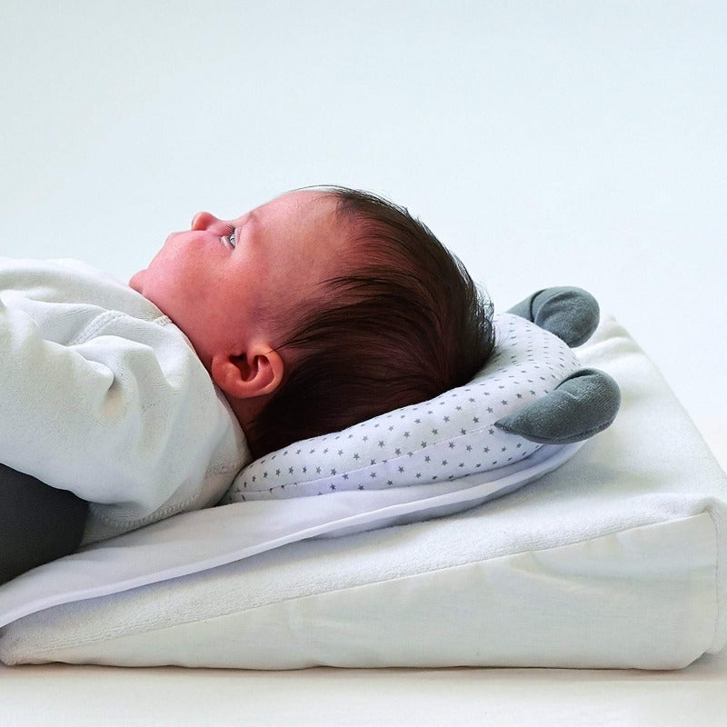 Candide – Expert Panda Pad