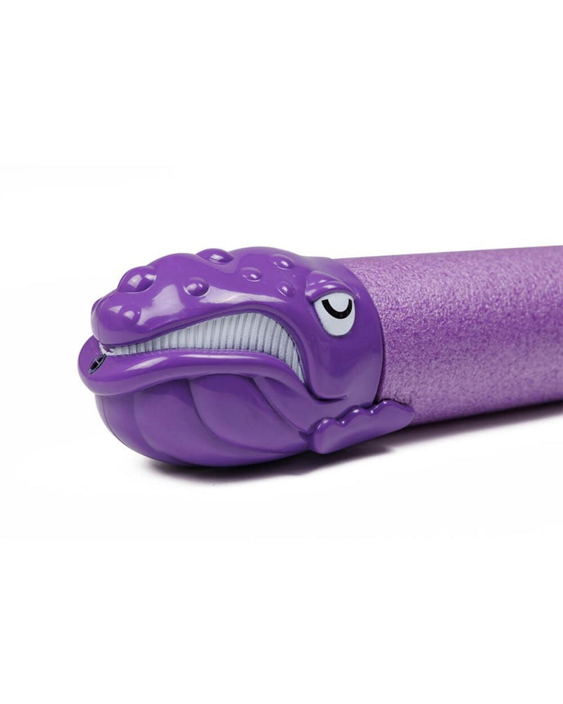 Eurekakids – Pistolet à Eau Violet