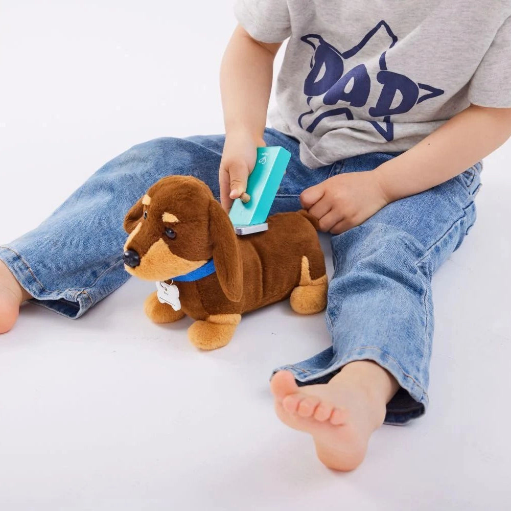 Hape - Clinique Vétérinaire Soins Chiot 3-8A