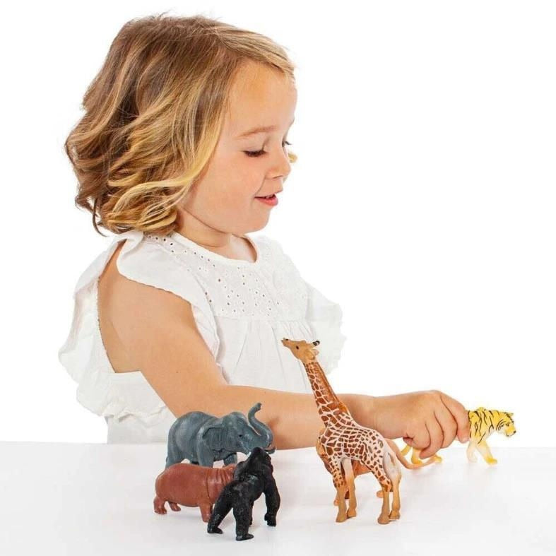Molto – Animaux Sauvages