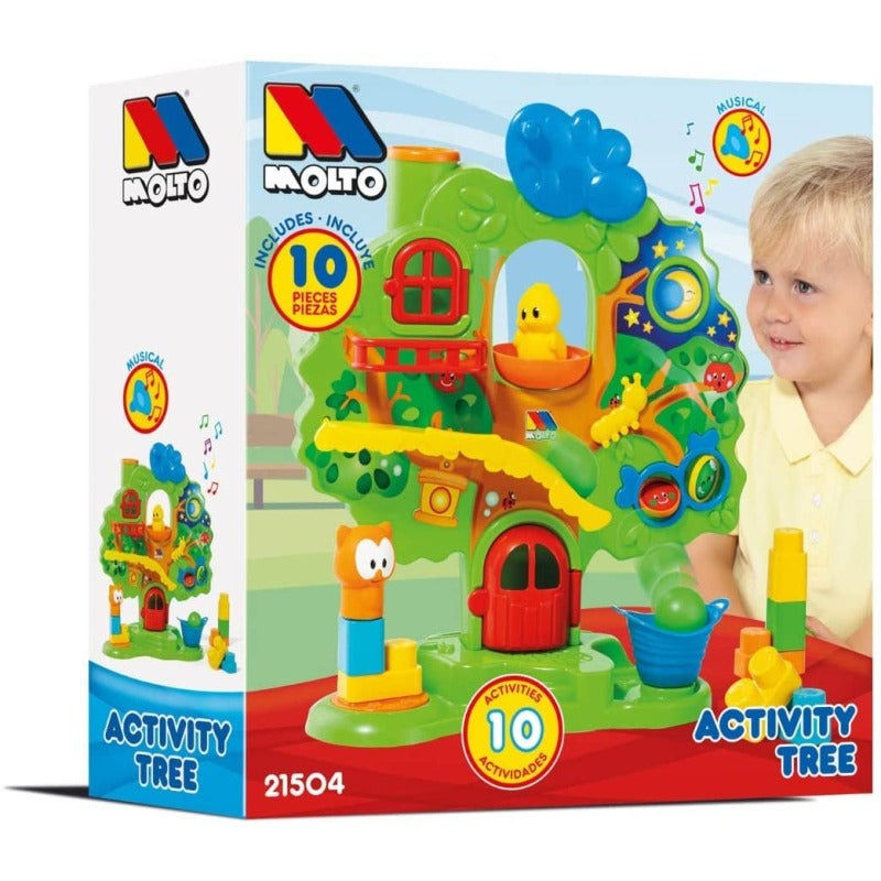 Molto – Arbre d’Activités