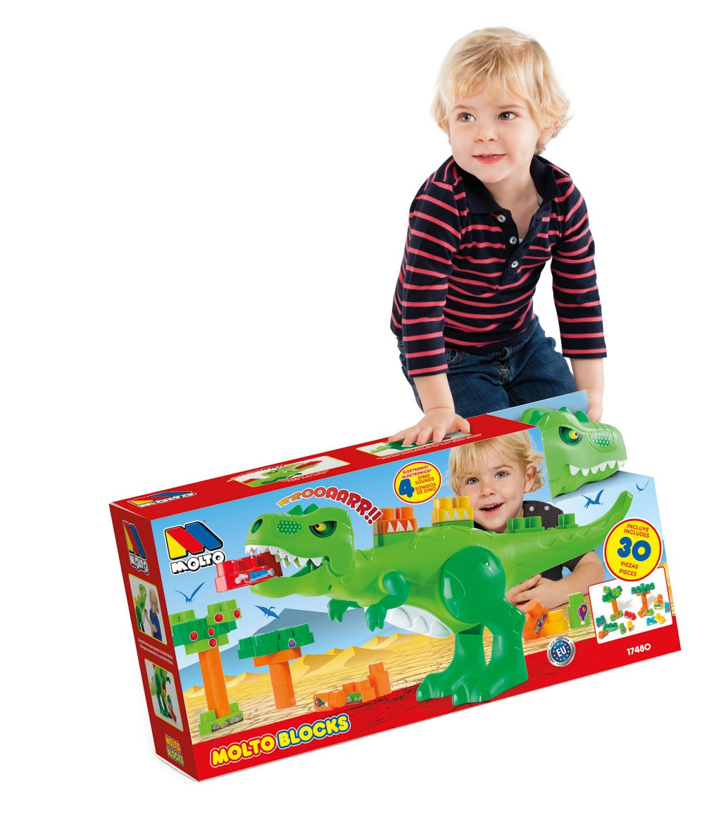 Molto – Dinosaures avec Blocs