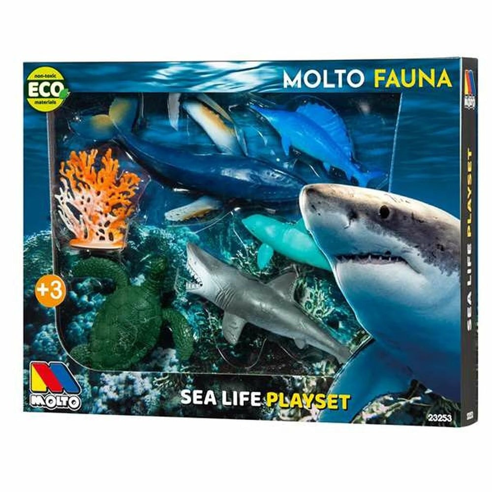 Molto – Vie Marine