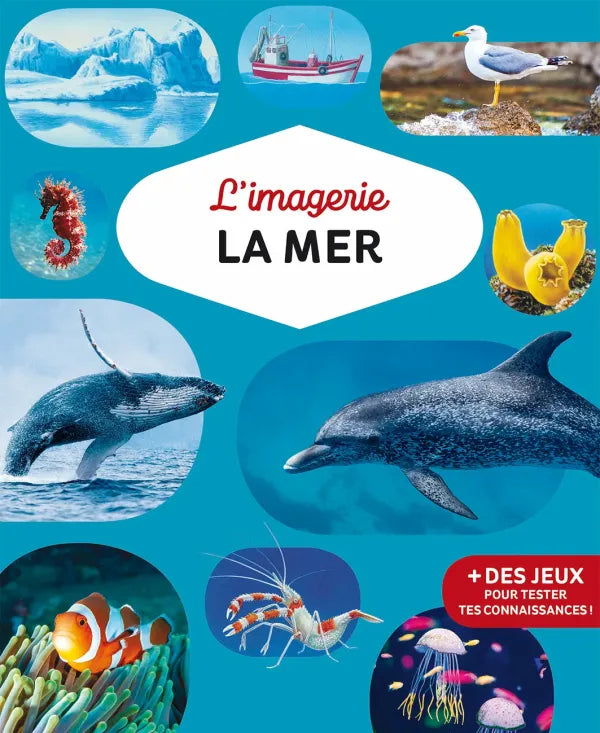 Les imageries - L'imagerie de la mer